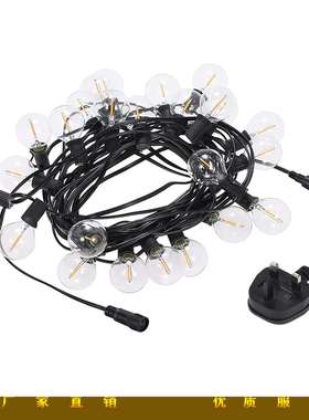 G40 E12圣诞灯串 户外装饰 庭院灯串 25灯 25Ft YI英规 钨丝灯串