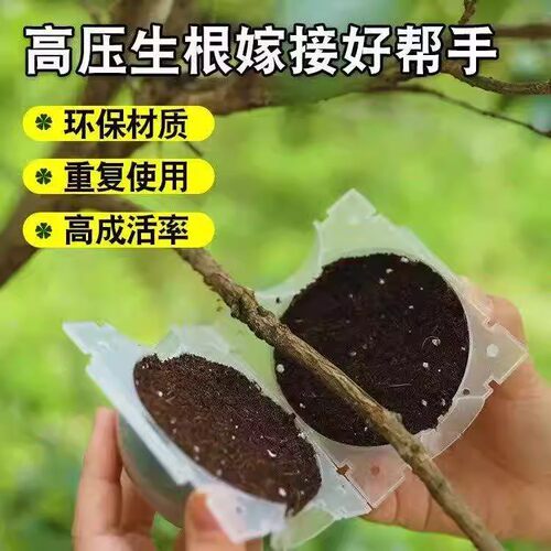 植物高压繁殖盒控根器生根扦插