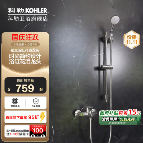 手持花洒挂墙式淋浴器科勒