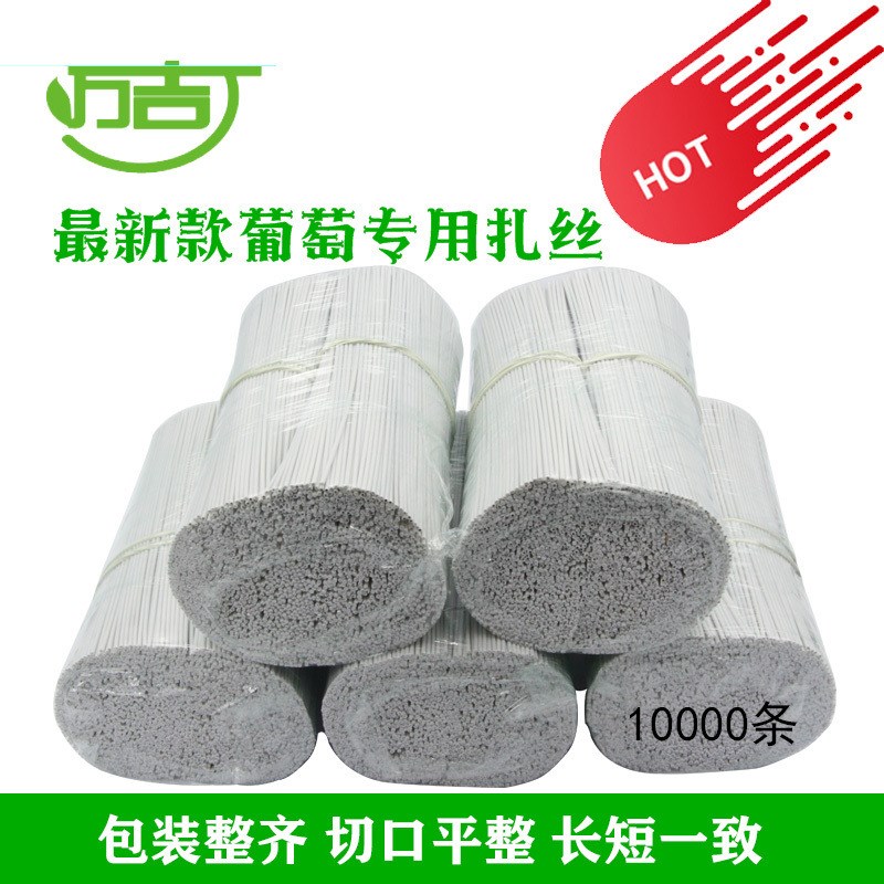 速发葡萄扎丝0.7圆12厘米白色绿一根枝条猕猴桃园林扎线火龙果