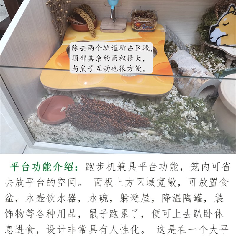 速发正超小宠屋 超静音动感跑步机金丝熊仓鼠超大跑轮跑盘平台居