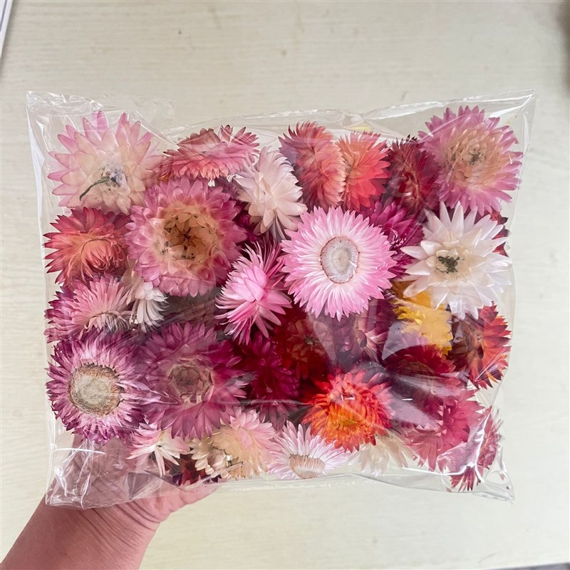 速发七彩小雏菊 干花花头 材料包麦秆菊真花花材手工拍照装饰
