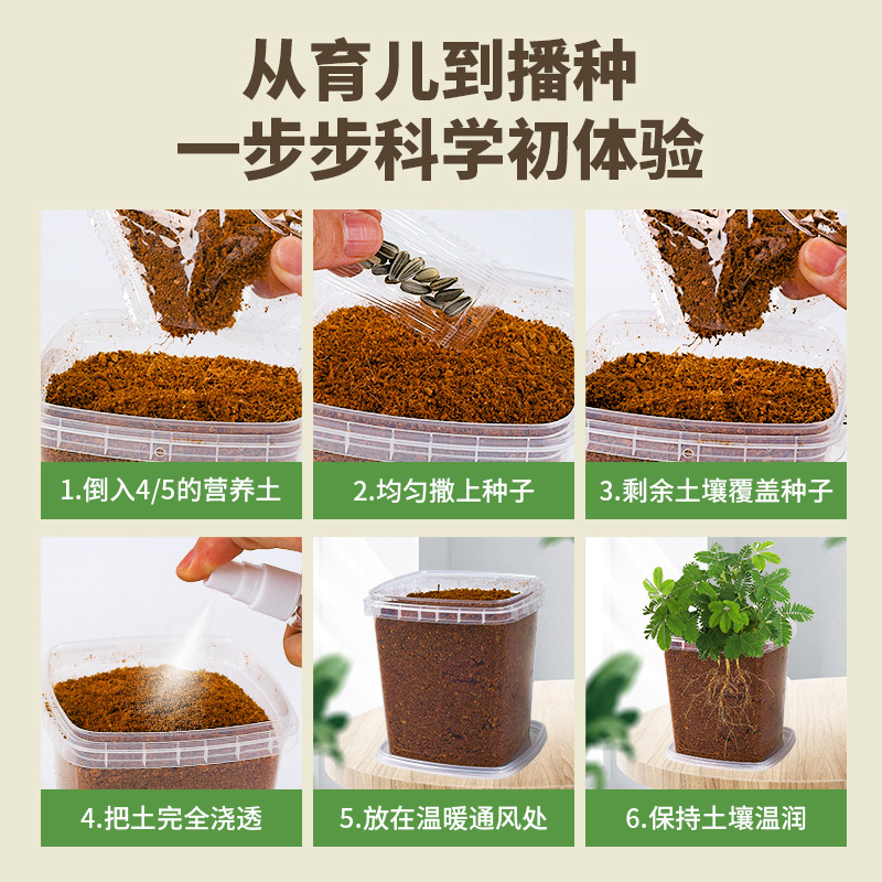 速发儿童种植盆栽套装胡萝卜植物观察根系生长向日葵小学生幼儿园