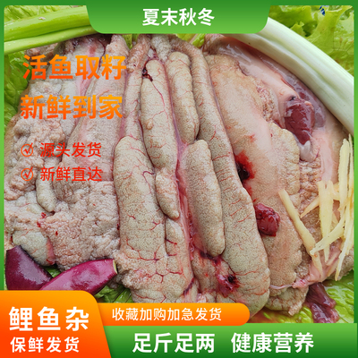 新鲜鱼籽鲤鱼鱼卵鱼杂鱼