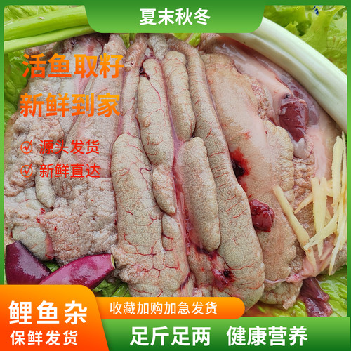 新鲜鱼籽鲤鱼鱼卵鱼杂鱼