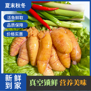 新鲜淡水鲈鱼籽鱼籽鱼泡鱼鱼白蛋鱼卵鲤鱼籽纯鲈鱼籽速冻黄花鱼籽