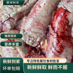 新鲜鲤鱼籽鱼籽酱鱼白鱼泡鱼杂鱼蛋鱼子鱼卵新鲜鱼蛋新鱼三宝鱼肚