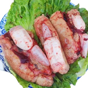 新鲜鲤鱼籽活鱼现杀鱼籽鱼蛋鱼泡鱼白鱼油鱼三宝鱼杂微山湖鱼膘