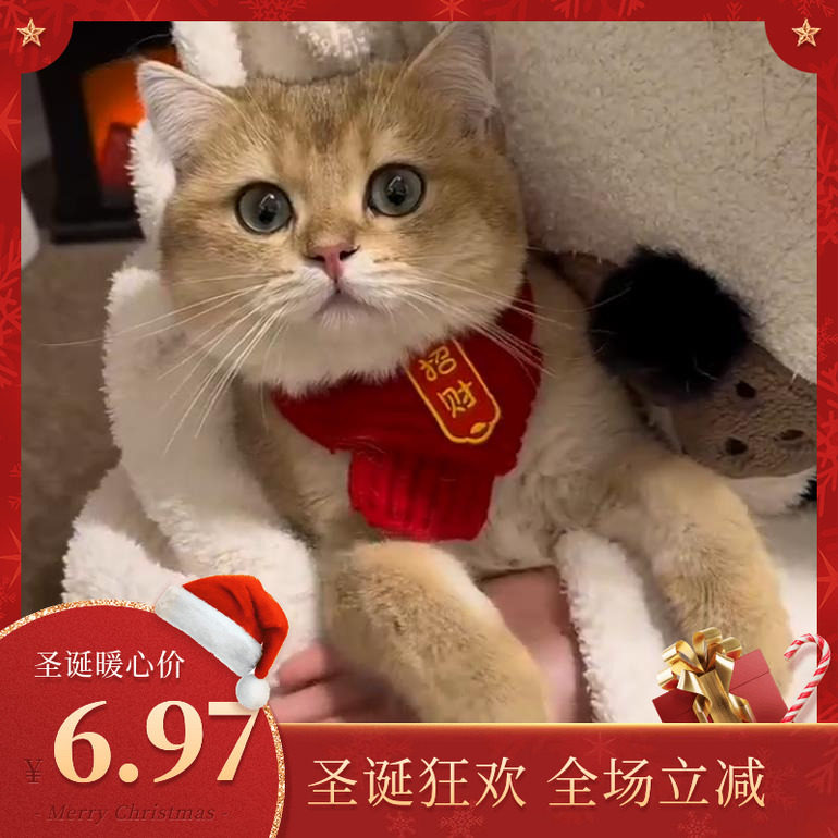 猫咪围脖小狗可爱新品毛线宠物围巾围兜狗狗保暖配饰红色喜庆新年