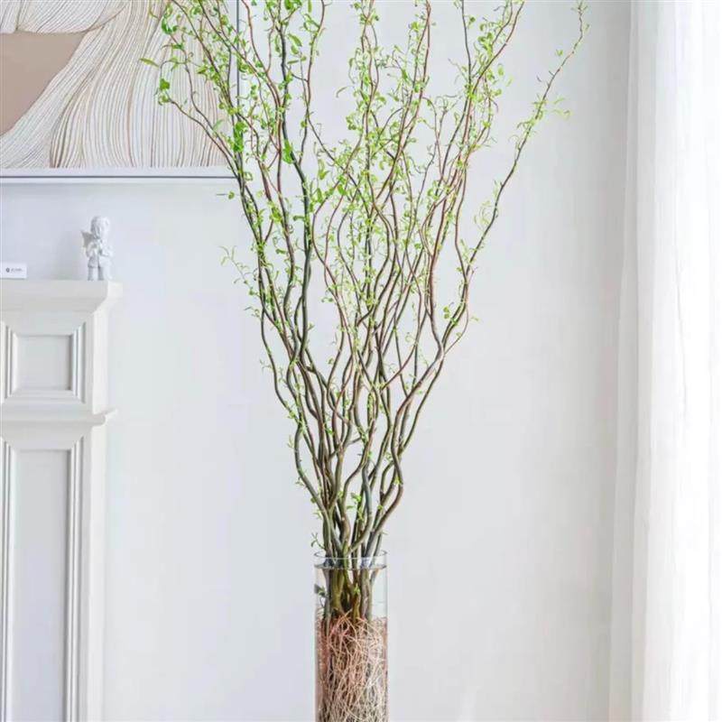 速发龙柳鲜枝插花客厅水培植物活卉室内四季好养花水培干燥树枝支