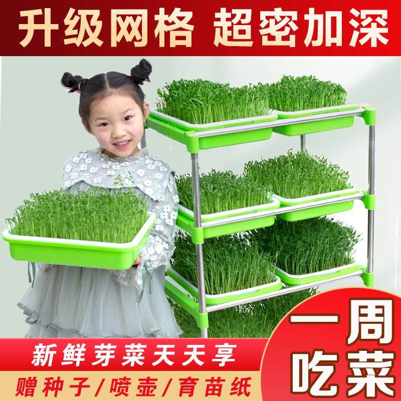 速发芽豆发芽盆水培蔬菜设栽豌豆苗种植架无土备培托家用芽苗菜育