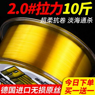 速发钓主线力柔软路尼专用超强拉超海杆亚龙线子线不打卷