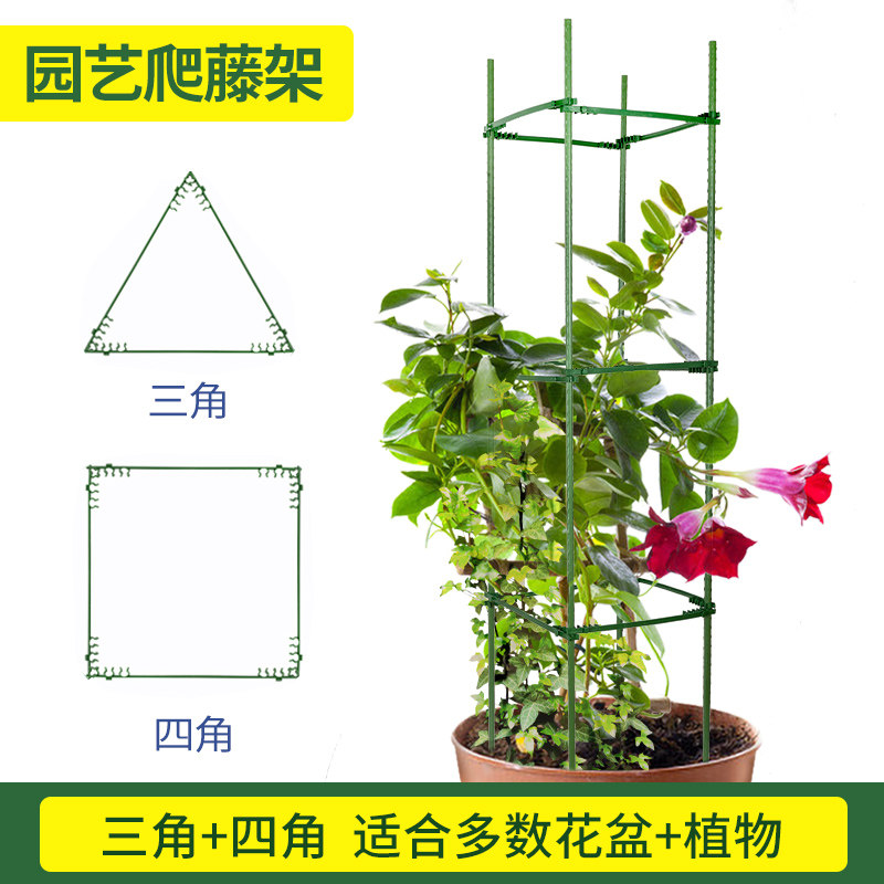 速发爬藤架园艺花架室内外月季铁线托支架植物攀包架爬塑钢管葡萄