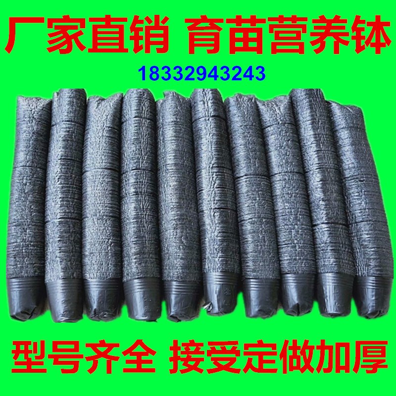 速发育育秧盆营养钵塑料黑杯袋苗盆育苗色西瓜杯营养杯一次性加厚