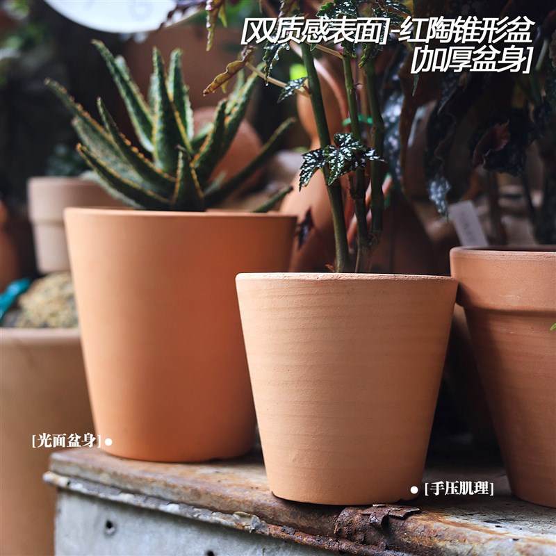 速发蕃木红陶国际盆维形盆手压纹肌理桌面香草小植物小多肉仙人球