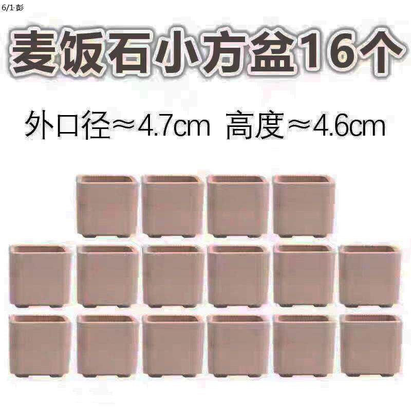 速发新品大号升级款麦饭石小方盆盆可爱多肉植物小盆粗陶创意手绘