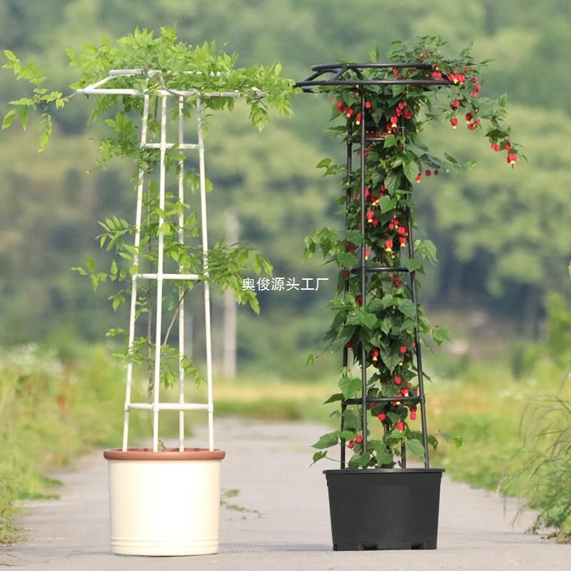 速发新款伞型花架爬藤架户外花卉铁爬架季支架月花攀线莲14mm管径