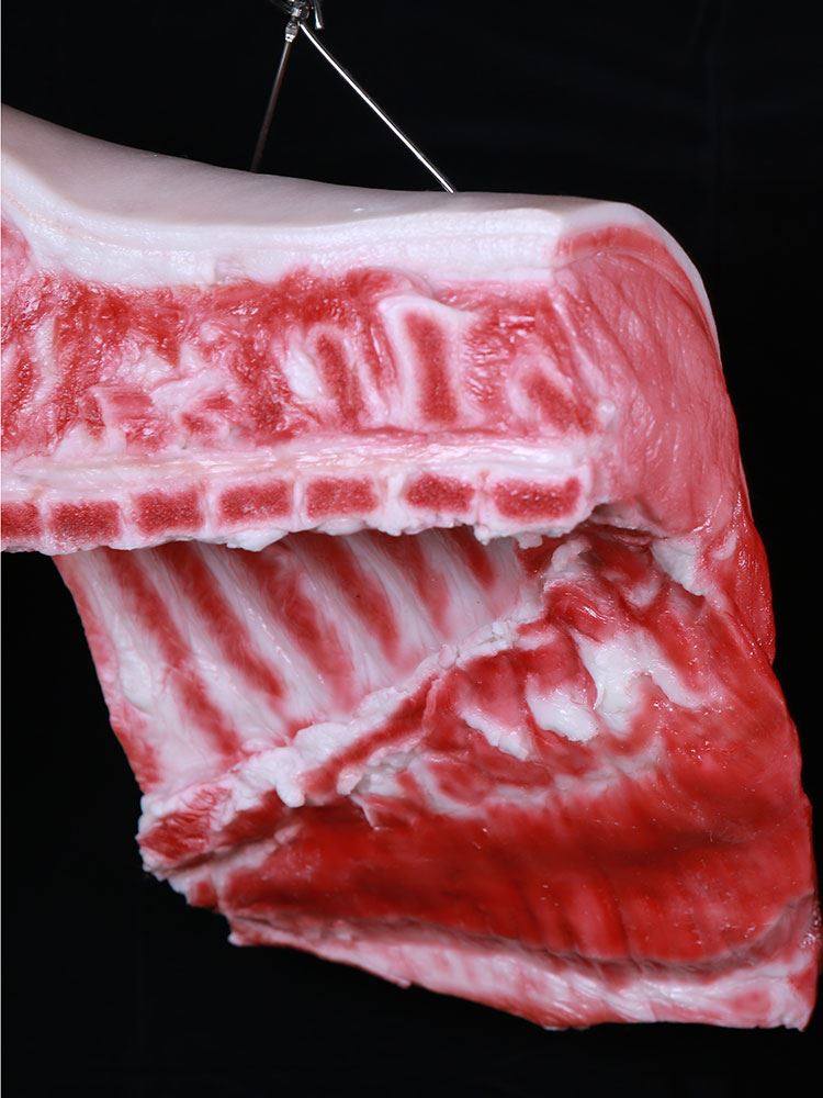 速发食物模型假菜生肉猪肉腊条肉羊样五花肉猪蹄猪头排品菜品