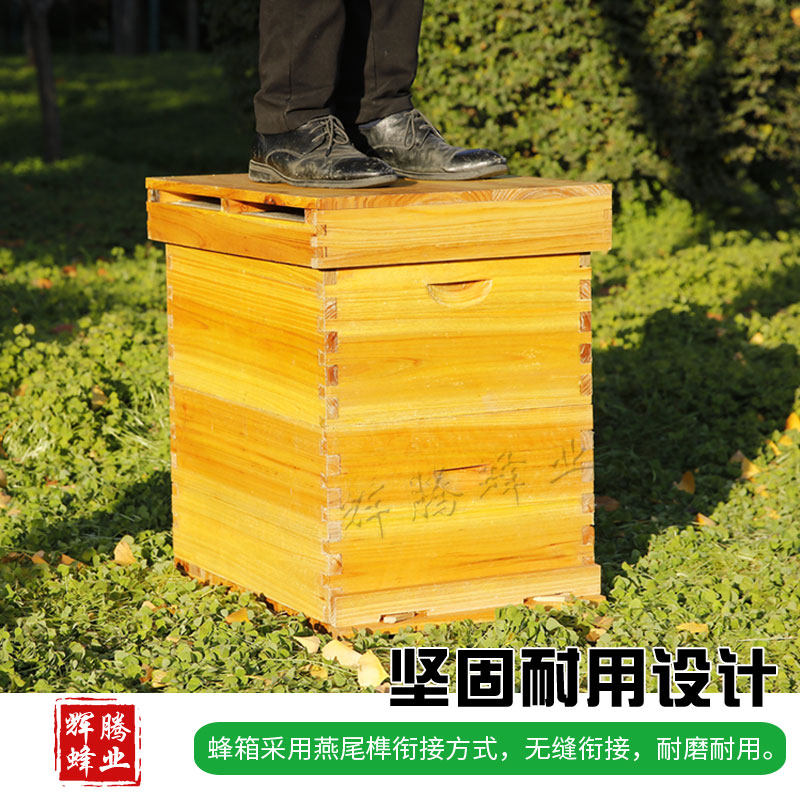 速发蜜蜂隔标准十框杉木煮蜡蜂箱蜂蜂箱意中箱高箱继箱箱王板全套