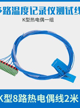 瑞希RuiXi无纸记录仪温度曲线巡检仪多路工业级温升测试仪CTR-380