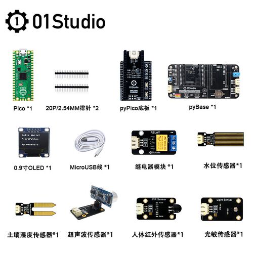 pyPico开发板 Raspberry Pi 树莓派Pico MicroPython RP2040