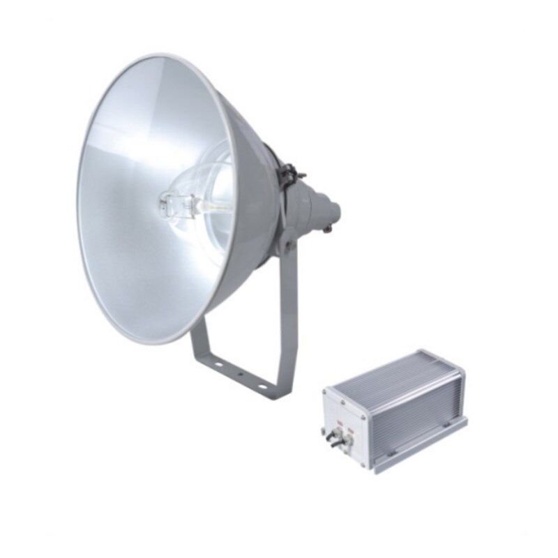 EBF203 防震型投光灯250W400W