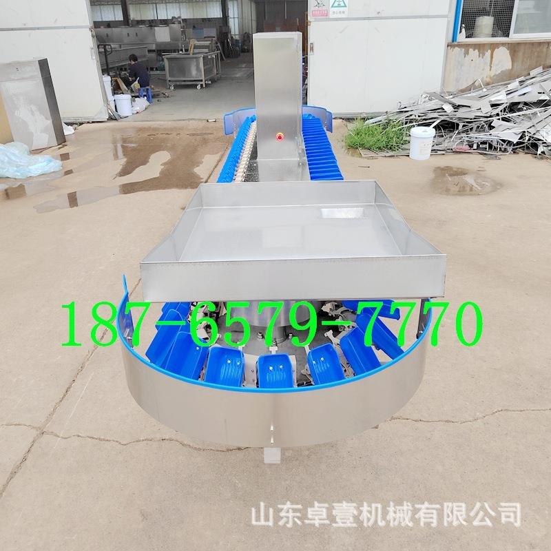 分选秤 重量分拣机 自动称重分选机 高精度多级重量分拣机 检重秤