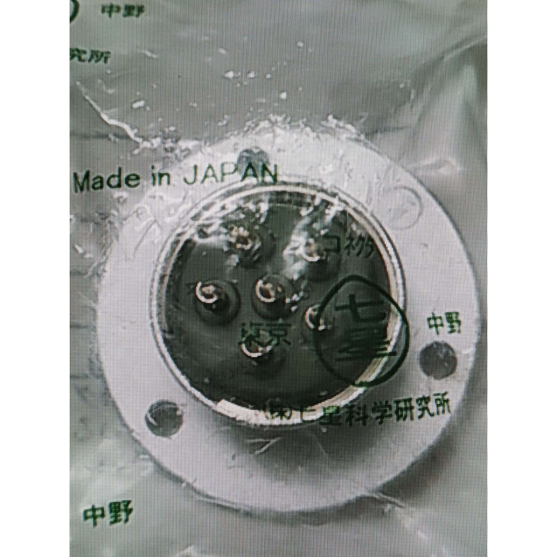 航空扦座NCS-256-RF