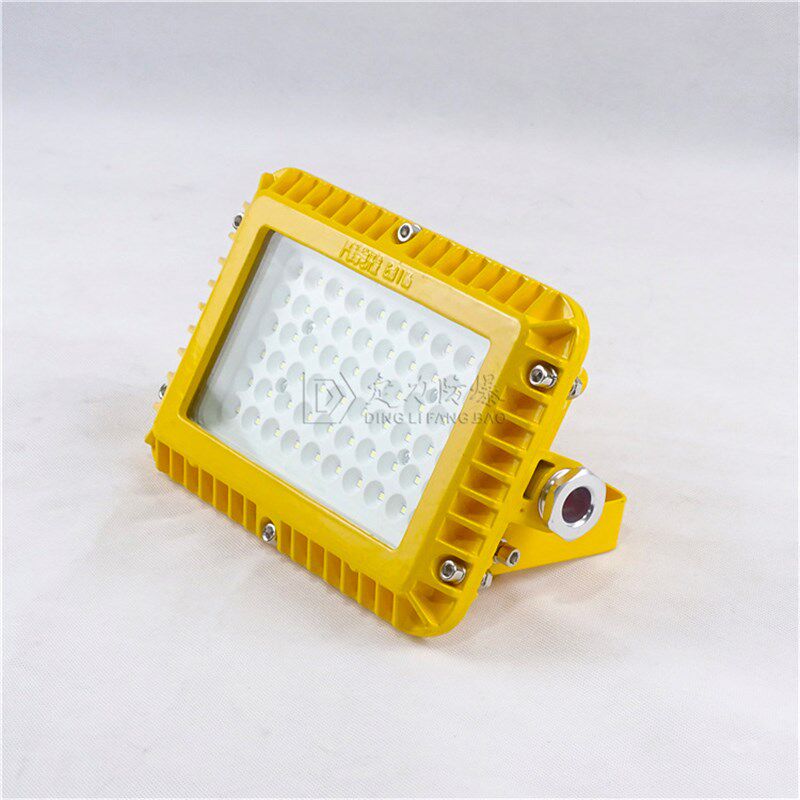 低电压20W30W40W50WLED防爆壁灯隧道防爆灯厂家24V36V管廊防爆灯