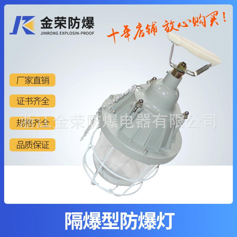 促销非标订做BAD54-250白炽灯/节能灯防爆照明灯防爆灯IP54250