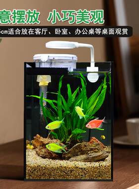 小鱼缸小型桌面鱼缸家用办公室免换水玻璃迷你微景观生态缸