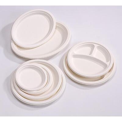 Super Rigid Extra Strong Disposable Party Paper Plates Biode