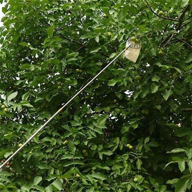 速发i杨梅木瓜高空摘k5香神器伸缩摘B荔C枝果米枸R杞百器果杆柿子