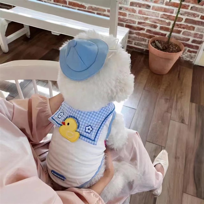 速发夏季狗衣服薄款衣服透气狗背心猫衣服泰迪比熊衣服