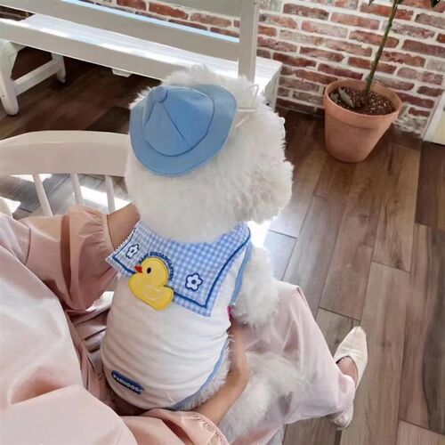 速发夏季狗衣服薄款衣服透气狗背心猫衣服泰迪比熊衣服