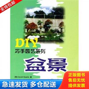 正版库存书9787535745408 DIY巧手园艺系列:盆景 斯夸尔 湖南科学技术出版社