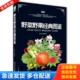 图鉴 野菜野果经典 正版 库存书9787538459159