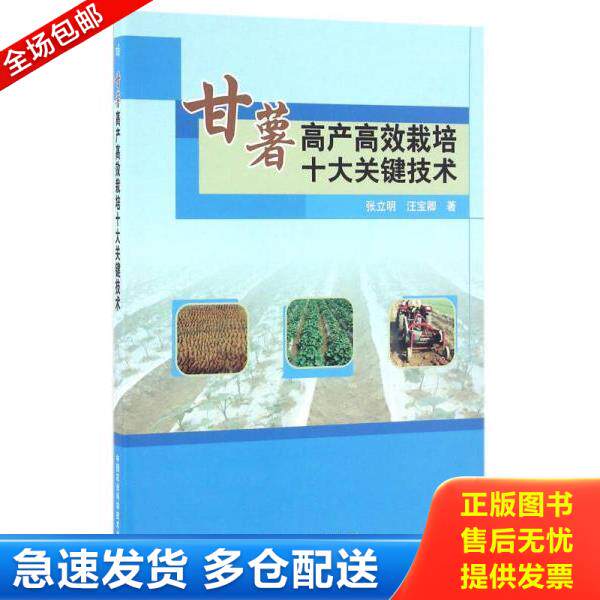 正版库存书9787511624444 全新正版 甘薯高产高效栽培十大关键技术 张立明,汪宝卿著 中国农业科学技术出版社 秋辰书店 张立明,汪