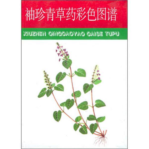 正版包邮9787533512323 袖珍青草药彩色图谱 赵秀贞主编 福建科技出版社