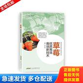 安徽科学技术出版 正版 徐义流伊兴凯 草莓优质高效栽培新技术 社 库存书9787533767105