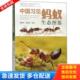 库存书9787534996979 河南科学技术出版 中国习见蚂蚁生态图鉴 陈志林 社 周善义 正版