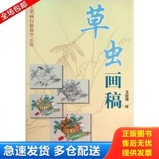 玉锐锋 正版 有划道 工笔画白描教学示范：草虫画稿 天津杨柳青画社 库存书9787807387091