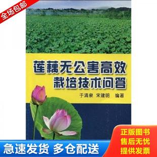 正版库存书9787508246895 莲藕无公害高效栽培技术问答 于清泉,宋建明　编著 金盾出版社
