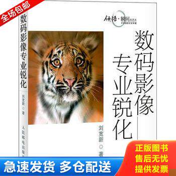 正版库存书数码影像专业锐化 9787115213303 刘宽新著 人民邮电出版社