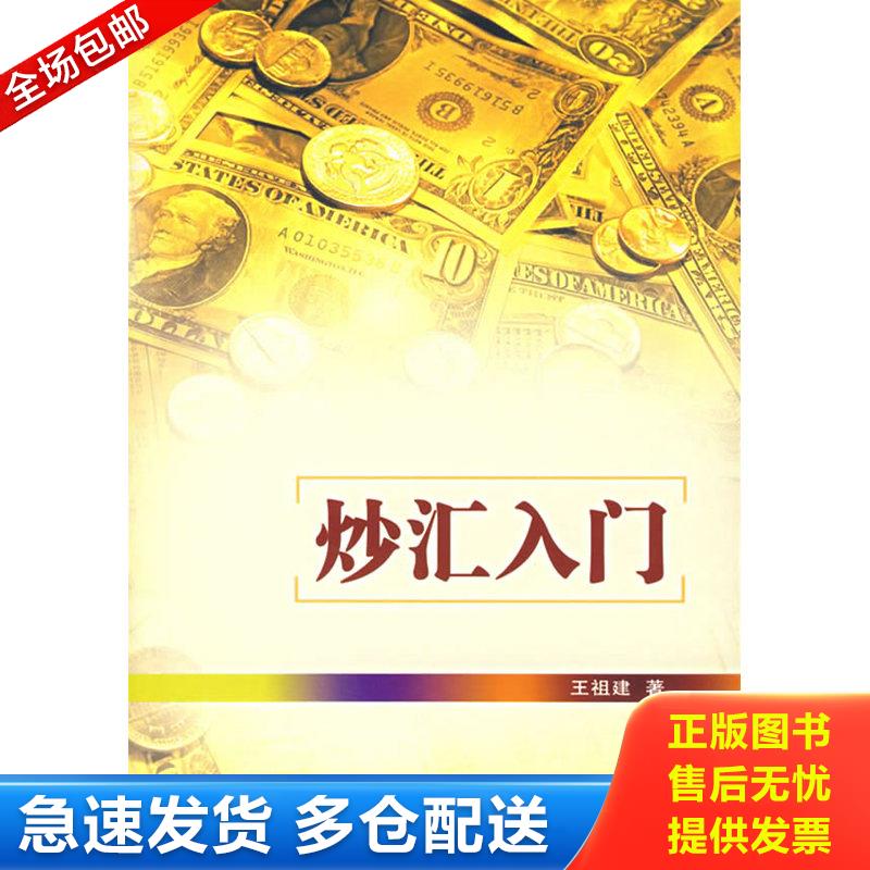 正版库存书炒汇入门  王祖建 经济管理出版社 9787802078673 王祖建　著 经济管理出版社