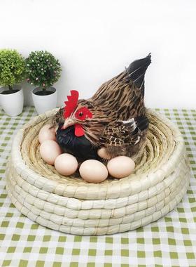 彷真母鸡摆件动物标本模型下蛋母鸡超市美陈直播间装饰招财工艺礼