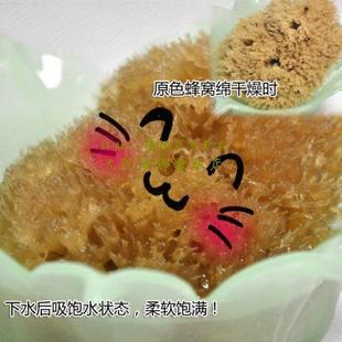 原色蜂窝绵地中海天然海绵海藻棉3.5 洗脸洁面扑洗泥膜 4.0英寸