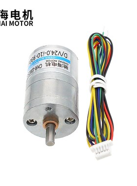 工厂直销GM25BLDC直流无刷2418减速电机6V12V24V大扭力长寿命马达