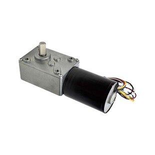 5840-3650无刷直流减速调速电机大扭矩低速马达12v24蜗轮蜗杆自锁