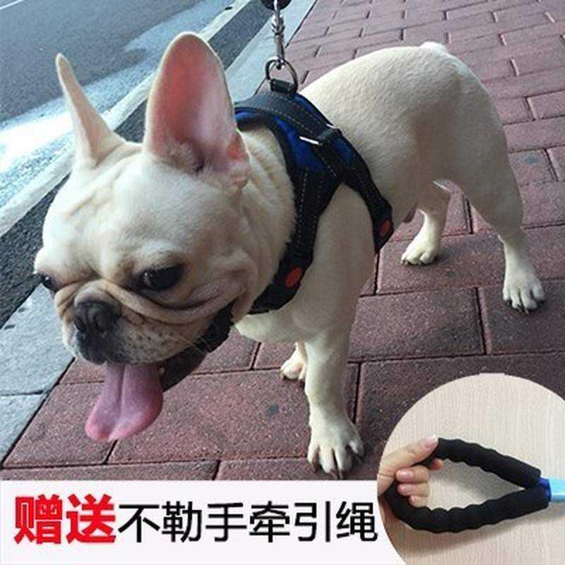 速发胸背带项圈小型型中绳子狗型大遛犬用品大法牛细狗